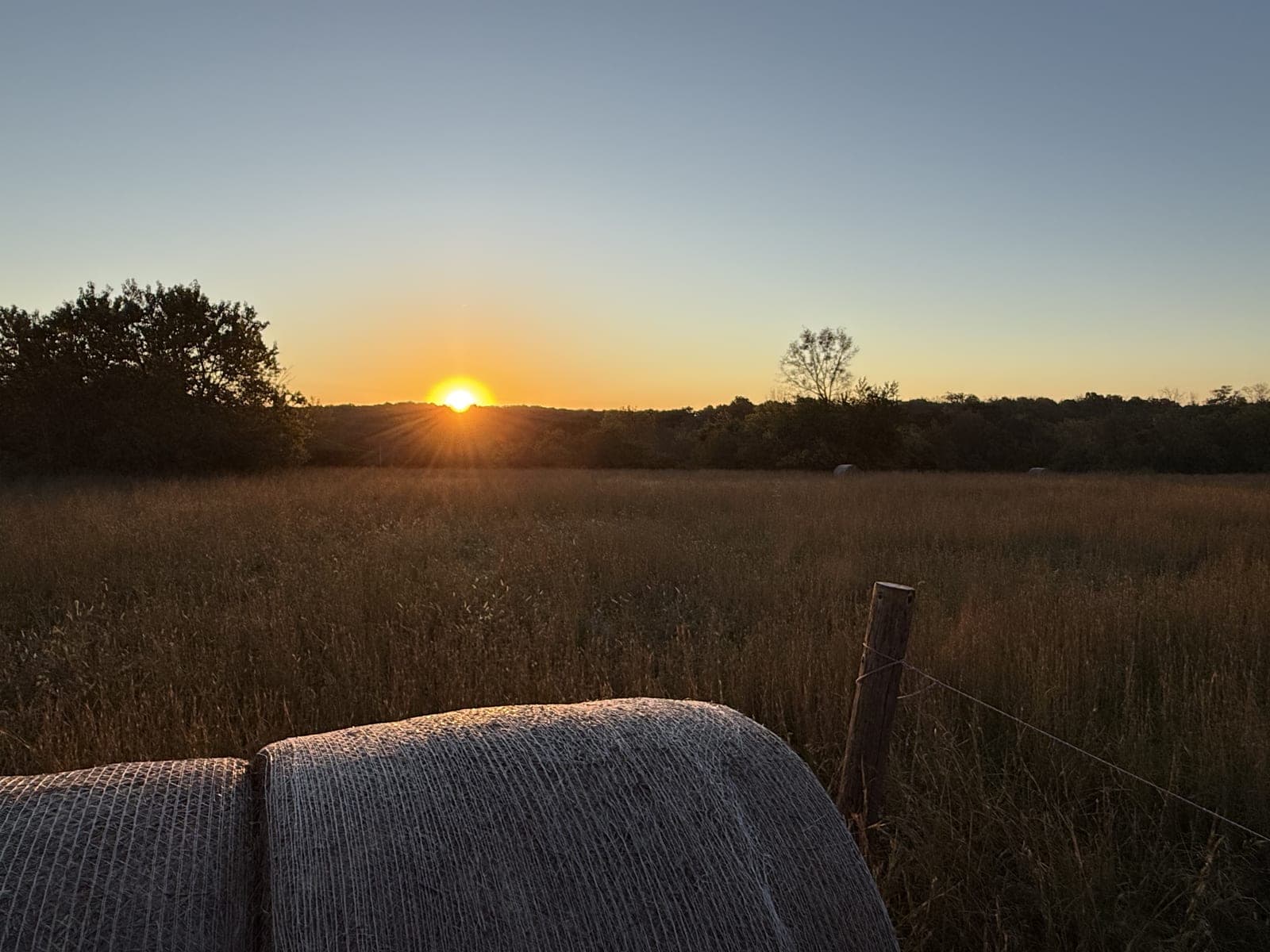 Sunrise over the vineyard, looking east toward the rising sun